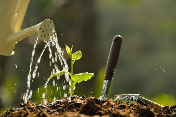 Gießkanne gießt Pflanze